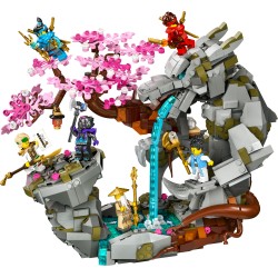 LEGO Ninjago 71819 Santuario della pietra del drago