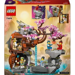 LEGO Ninjago 71819 Santuario della pietra del drago