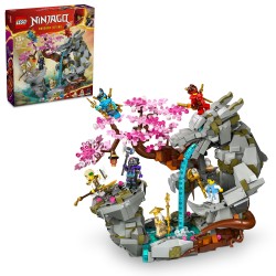 LEGO Ninjago 71819 Santuario della pietra del drago