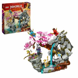 LEGO Ninjago 71819 Santuario della pietra del drago