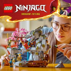 LEGO Ninjago 71819 Santuario della pietra del drago