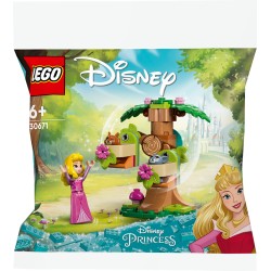 LEGO Disney 30671 Polybag  Il parco giochi nel bosco di Aurora