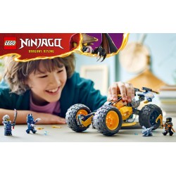 Le buggy tout-terrain ninja d'Arin