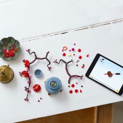 LEGO Botanical 10369 Albicocco giapponese
