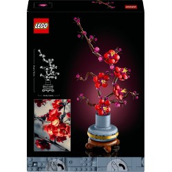 Les fleurs de prunier