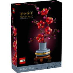 Les fleurs de prunier