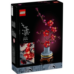 Les fleurs de prunier