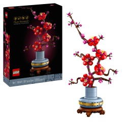 Les fleurs de prunier