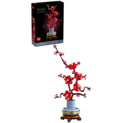 Les fleurs de prunier