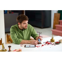 LEGO Botanical 10369 Albicocco giapponese