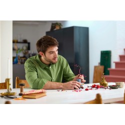 LEGO Botanical 10369 Albicocco giapponese