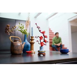 Les fleurs de prunier