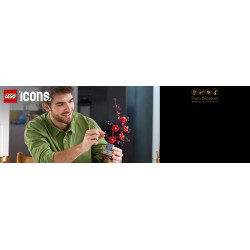 Japanse abrikoos