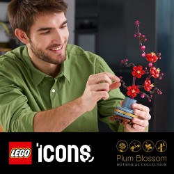 Plum Blossom