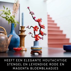 Les fleurs de prunier
