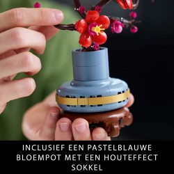 Les fleurs de prunier
