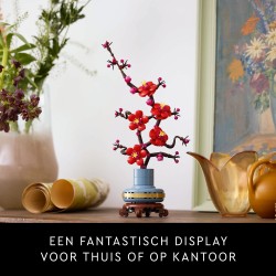 Japanse abrikoos