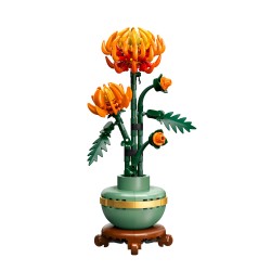 Chrysantheme
