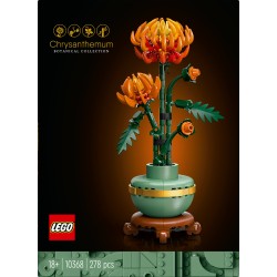 Chrysantheme