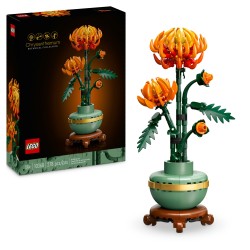 Chrysantheme