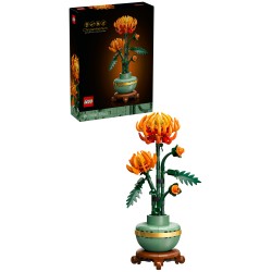 Chrysantheme