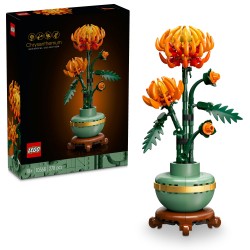 Chrysantheme