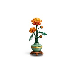 Chrysantheme