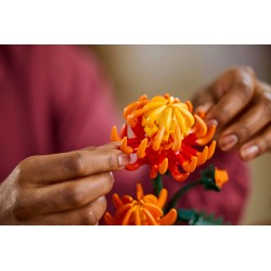 Chrysantheme
