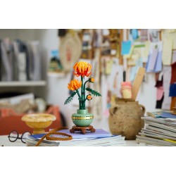Chrysantheme
