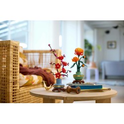 Chrysantheme