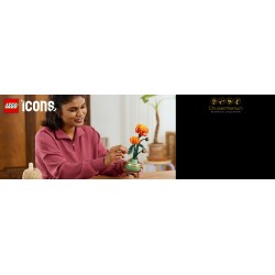 Chrysantheme