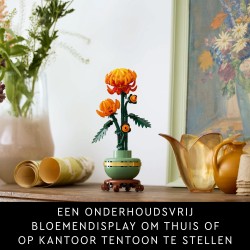 Chrysantheme
