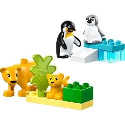 Families van wilde dieren: pinguïns en leeuwen