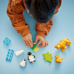 Families van wilde dieren: pinguïns en leeuwen
