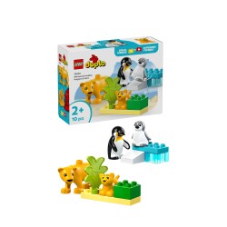 Families van wilde dieren: pinguïns en leeuwen