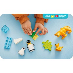 Families van wilde dieren: pinguïns en leeuwen