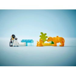 Families van wilde dieren: pinguïns en leeuwen