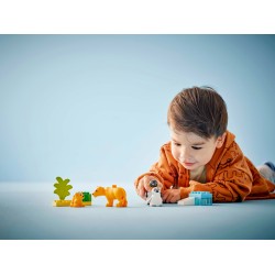 Families van wilde dieren: pinguïns en leeuwen