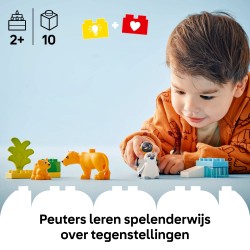Families van wilde dieren: pinguïns en leeuwen