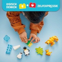Families van wilde dieren: pinguïns en leeuwen