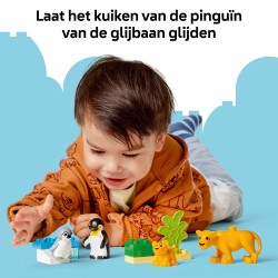 Families van wilde dieren: pinguïns en leeuwen