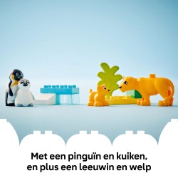 Families van wilde dieren: pinguïns en leeuwen