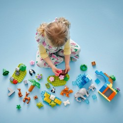 Familles d’animaux sauvages 3-en-1