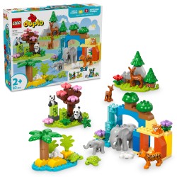 Familles d’animaux sauvages 3-en-1