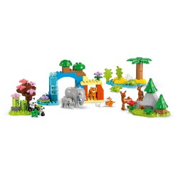 Familles d’animaux sauvages 3-en-1