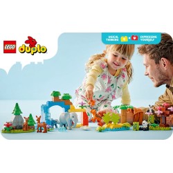Familles d’animaux sauvages 3-en-1