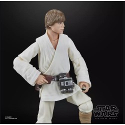 Hasbro Star Wars - Black Series - Luke Skywalker (A New Hope)