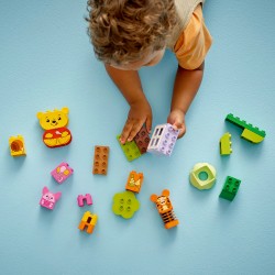 LEGO DUPLO 10457 Festa di compleanno di Winnie the Pooh