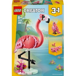 Wilde dieren: roze flamingo
