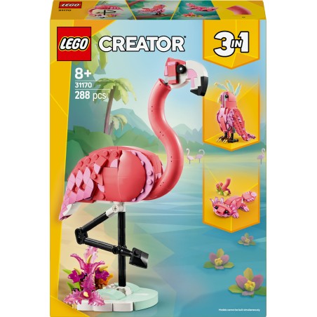 Animaux sauvages : le flamant rose
